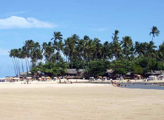 Na Praia de Jacarapé, professores e estudantes do instituto federal da Paraíba orientam projetos, dão aulas de campo e promovem pesquisas na área ambiental (Foto: Divulgação/Setec)