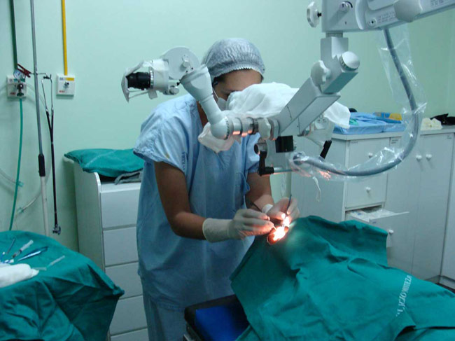 Nos quatro dias do mutirão, estão previstos 820 procedimentos cirúrgicos na área de oftalmologia em dez hospitais-escola federais (foto: jornalextra.com.br)