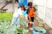 Crianças da primeira série cultivam o terreno, sabem diferenciar as plantas úteis e separar o mato (Foto: João Bittar)